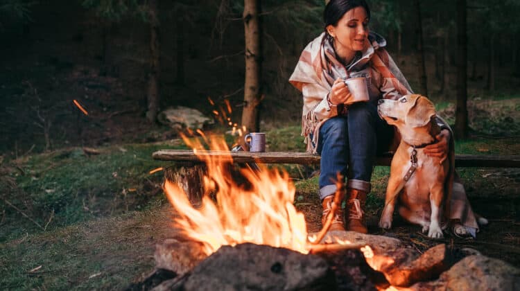 Tent Camping With Dogs