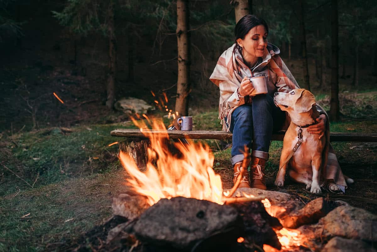 Tent Camping With Dogs