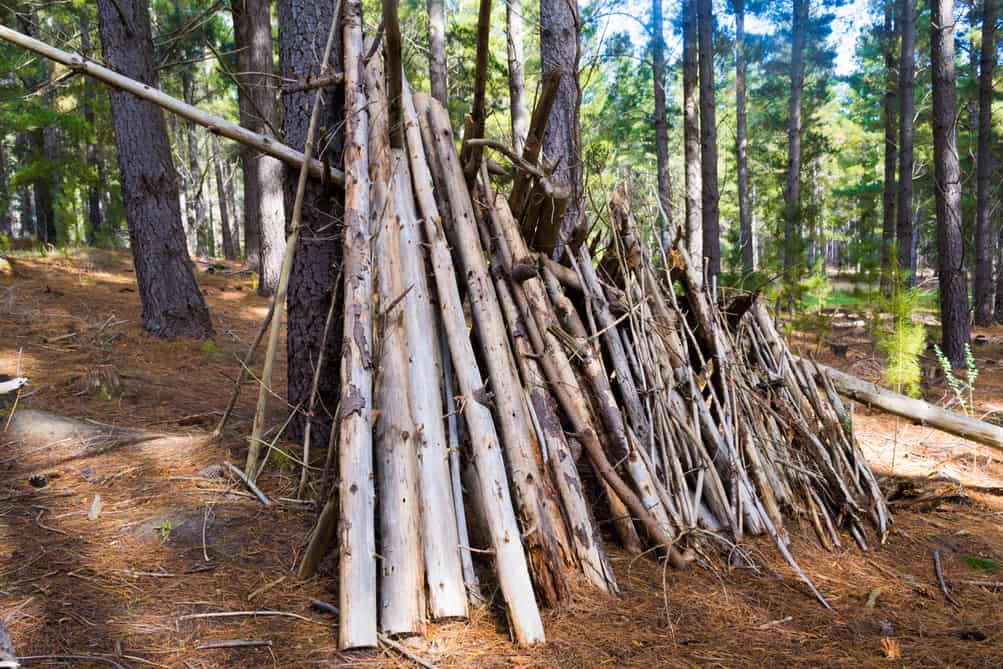 Building Temporary Shelters