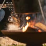 Campfire Safety with Dogs