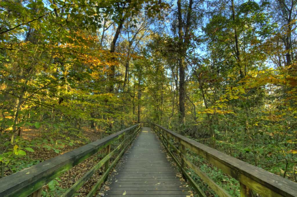 Congaree National Park