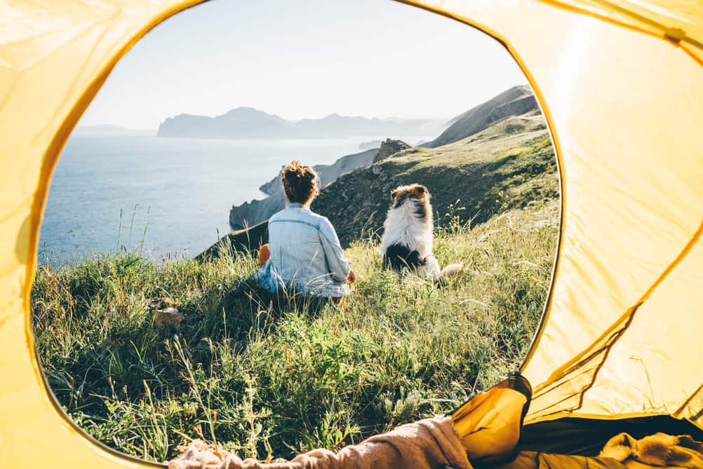 Dog-Friendly National Park Campsites