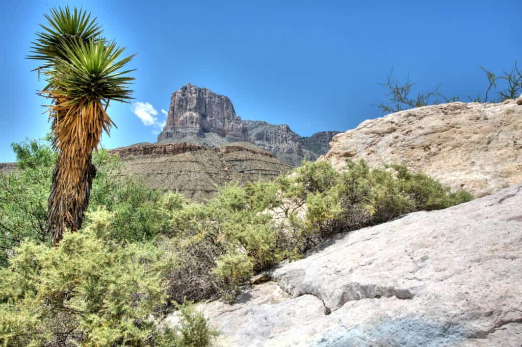 Guadalupe Mountains National Park