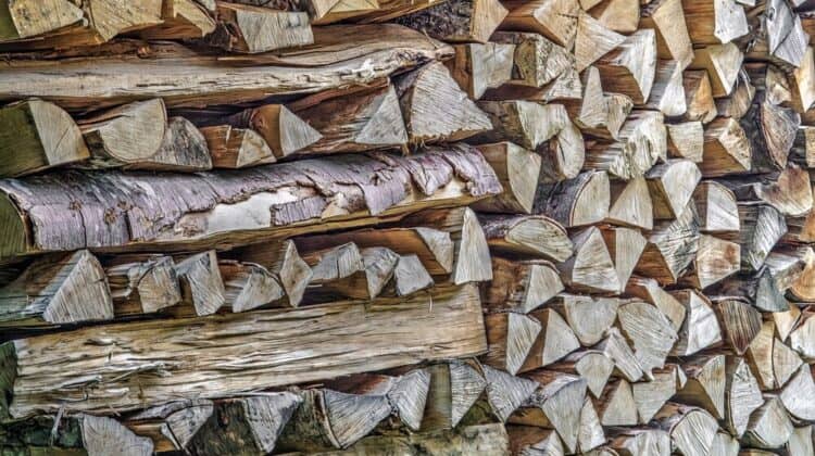 Where to Buy Firewood for Camping?