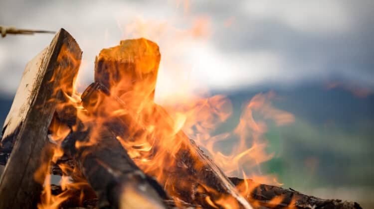 How Much Firewood Do I Need Camping?