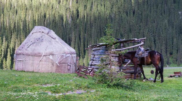 What is Yurt Camping?